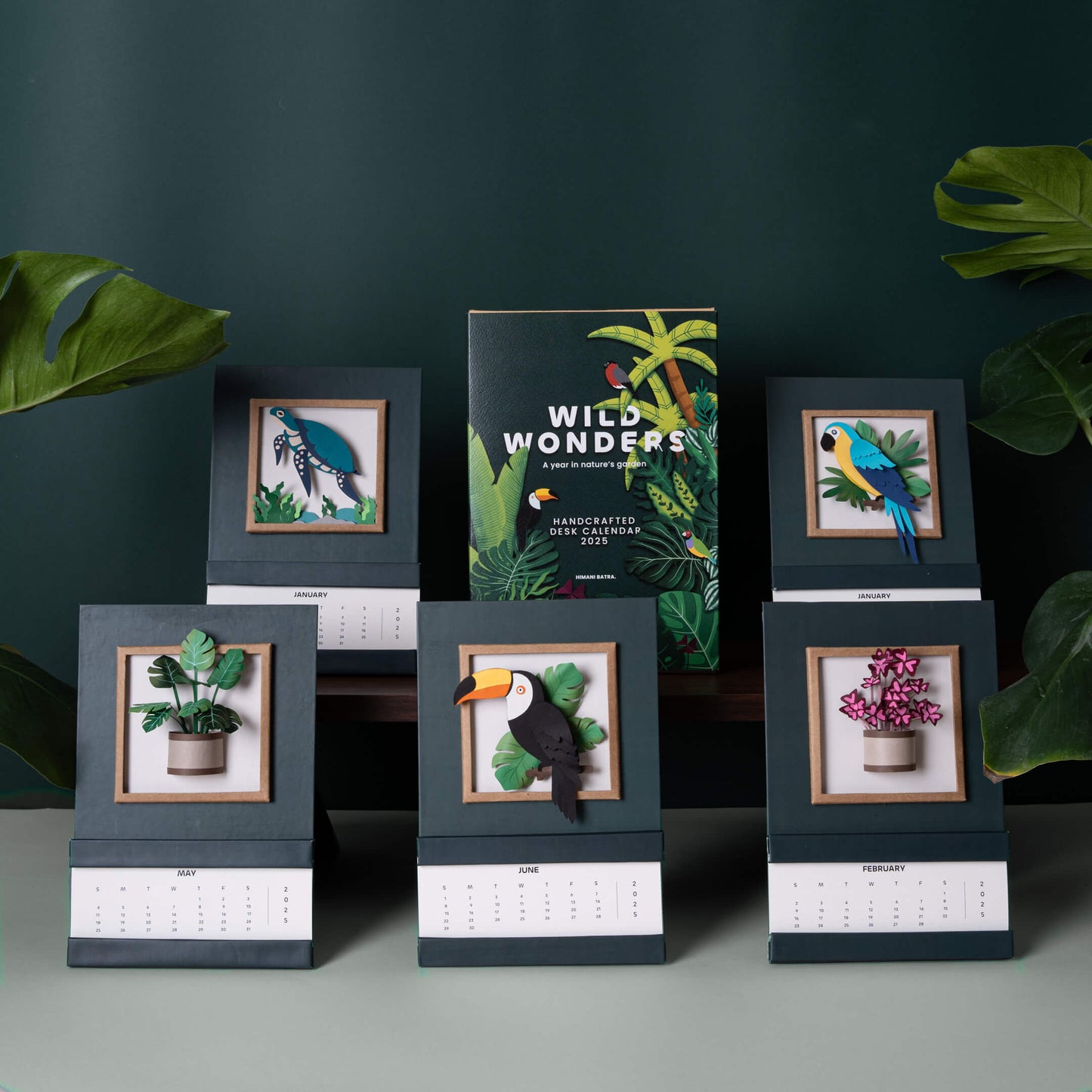 Rattle Snake Plant Calendar 2025 | 'Wild Wonders'