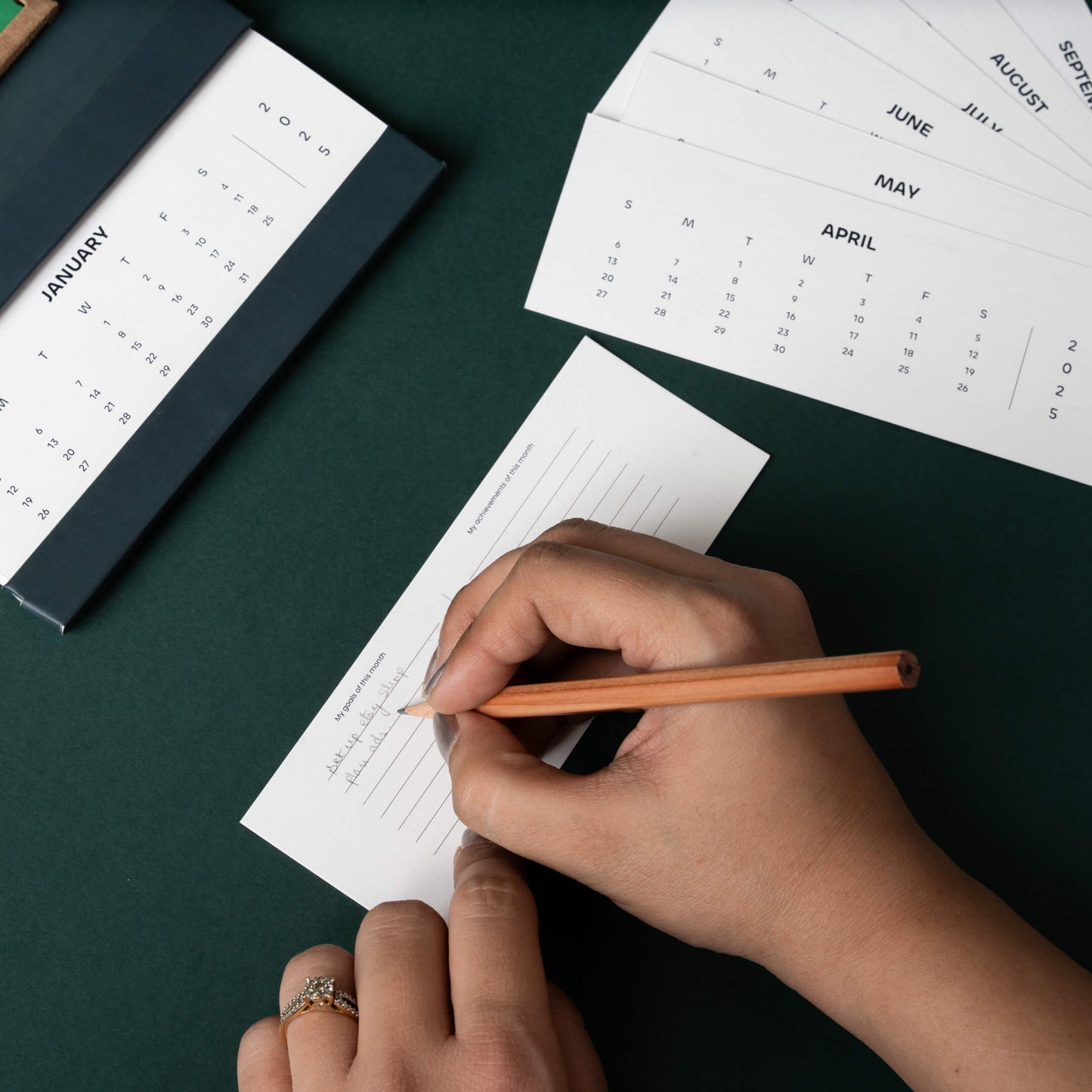 Toucan Bird Calendar 2025 | 'Wild Wonders'