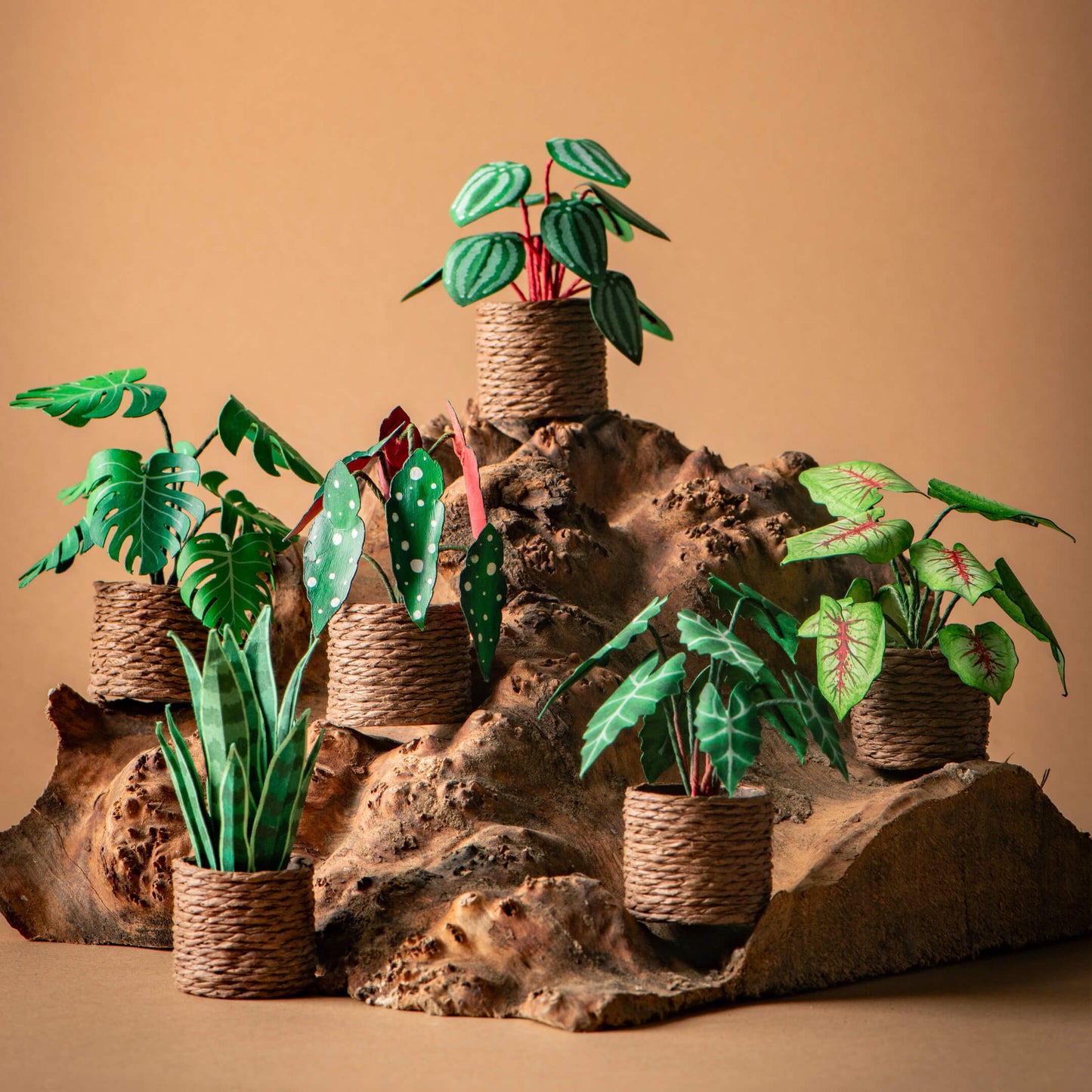 Set of 6 | Miniature Paper Plant