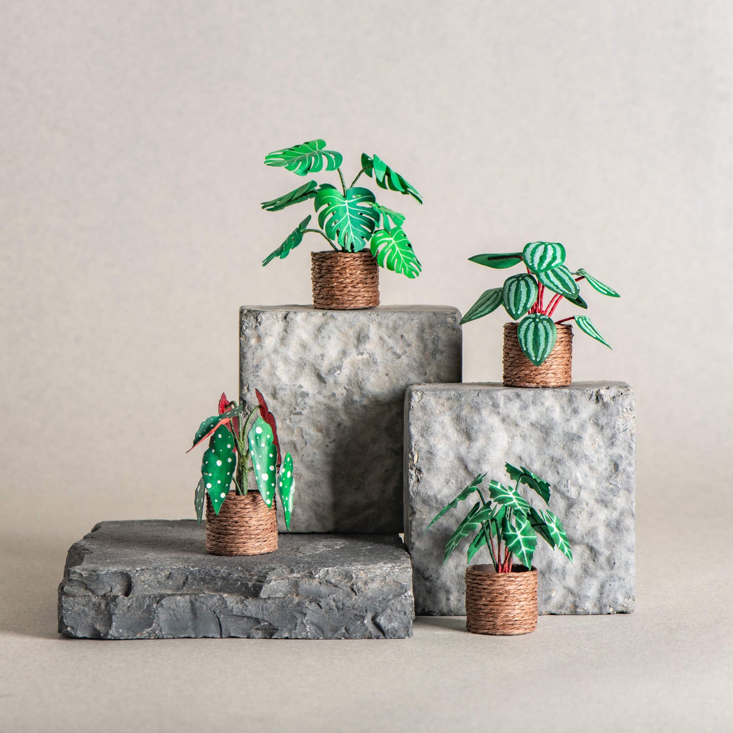 Green Bliss |Set of 4 | Miniature Paper Plant