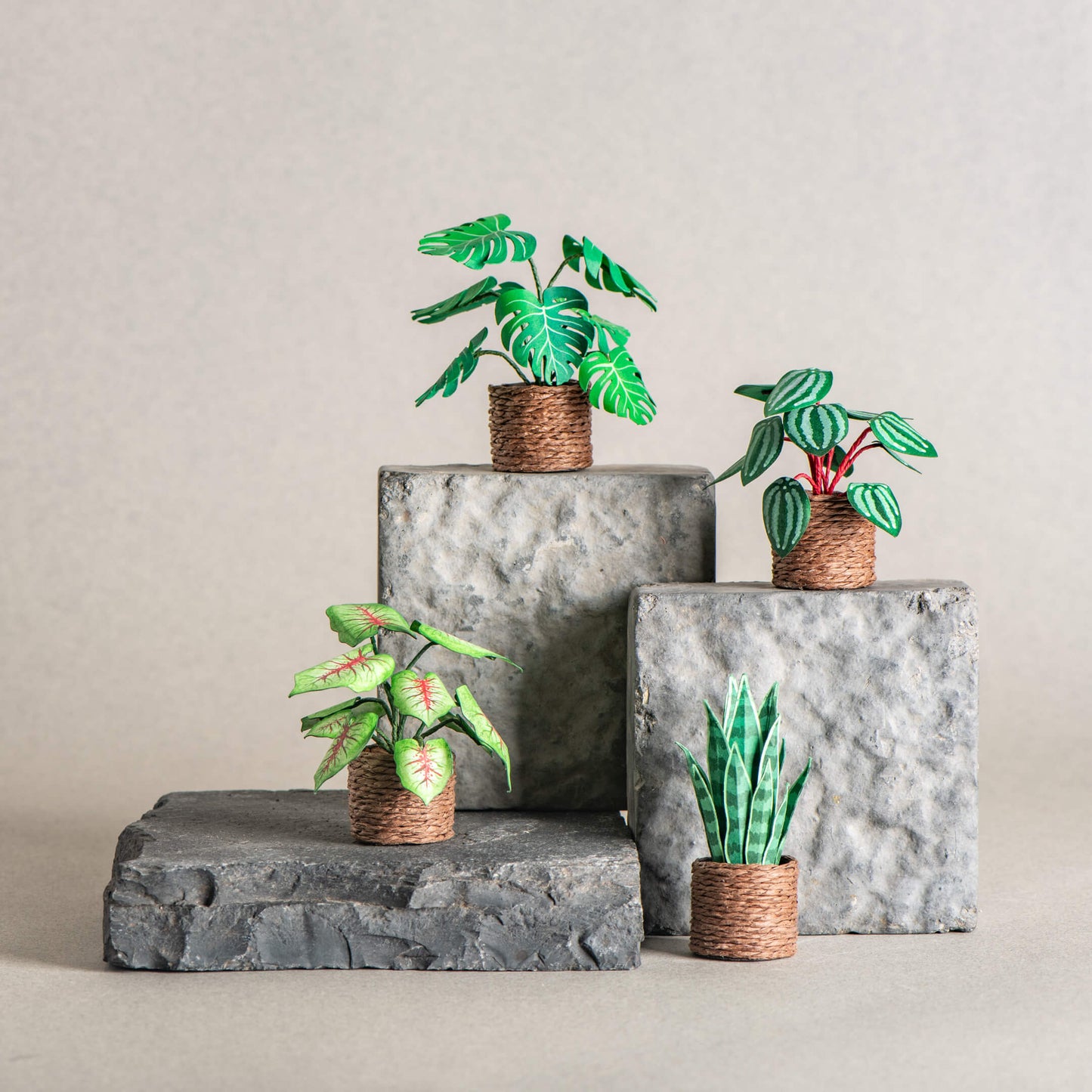 Nature's Haven |Set of 4 | Miniature Paper Plant