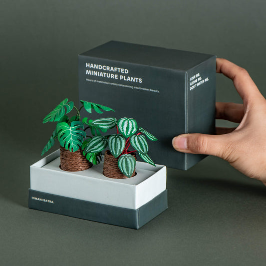 Monstera & Watermelon Peperomia| Set of 2 | Miniature Paper Plant