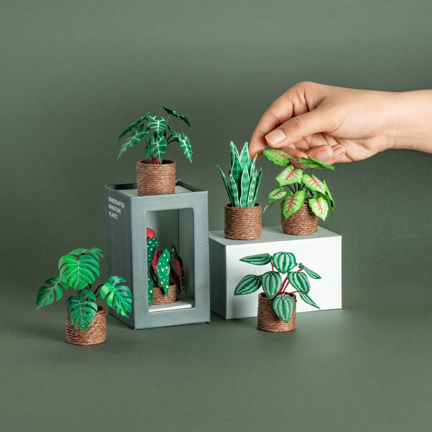 Set of 6 | Miniature Paper Plant