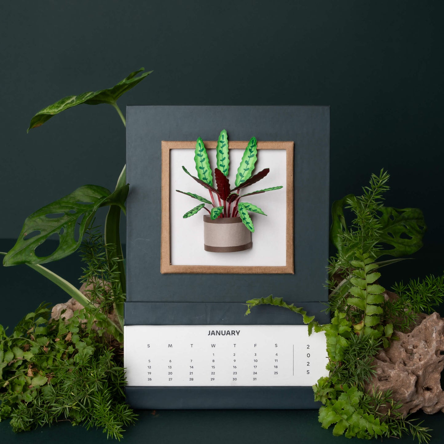 Rattle Snake Plant Calendar 2025 | 'Wild Wonders'