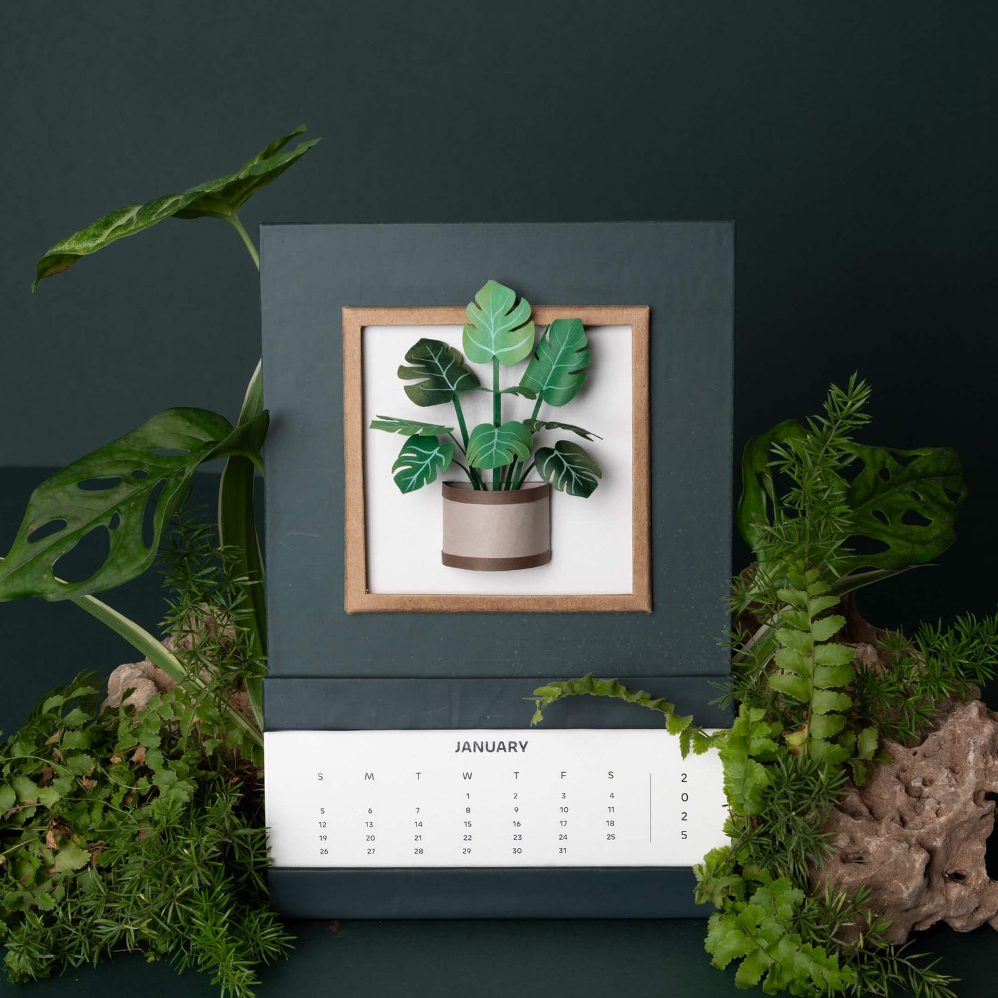 Monstera Plant Calendar 2025 | 'Wild Wonders'