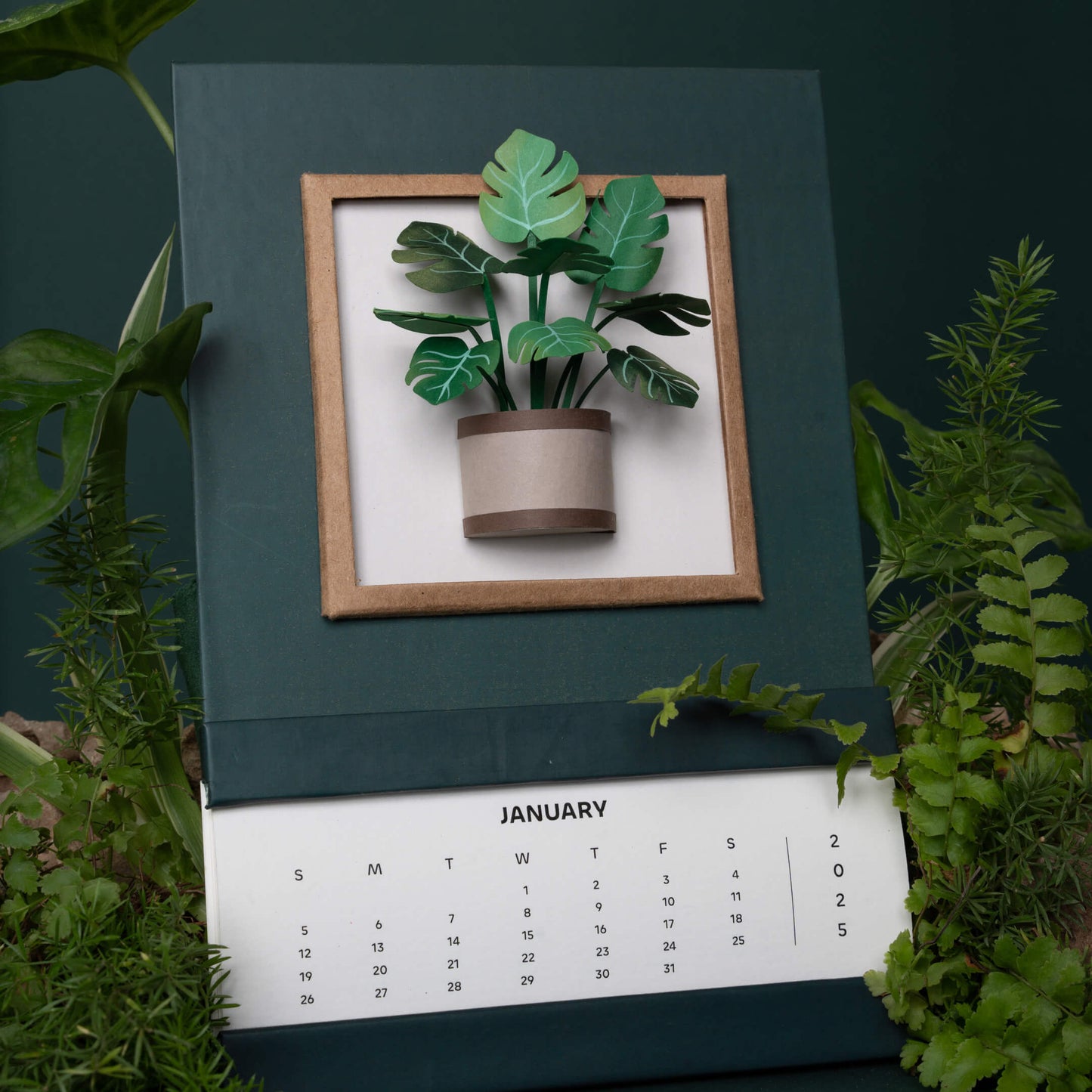 Monstera Plant Calendar 2025 | 'Wild Wonders'