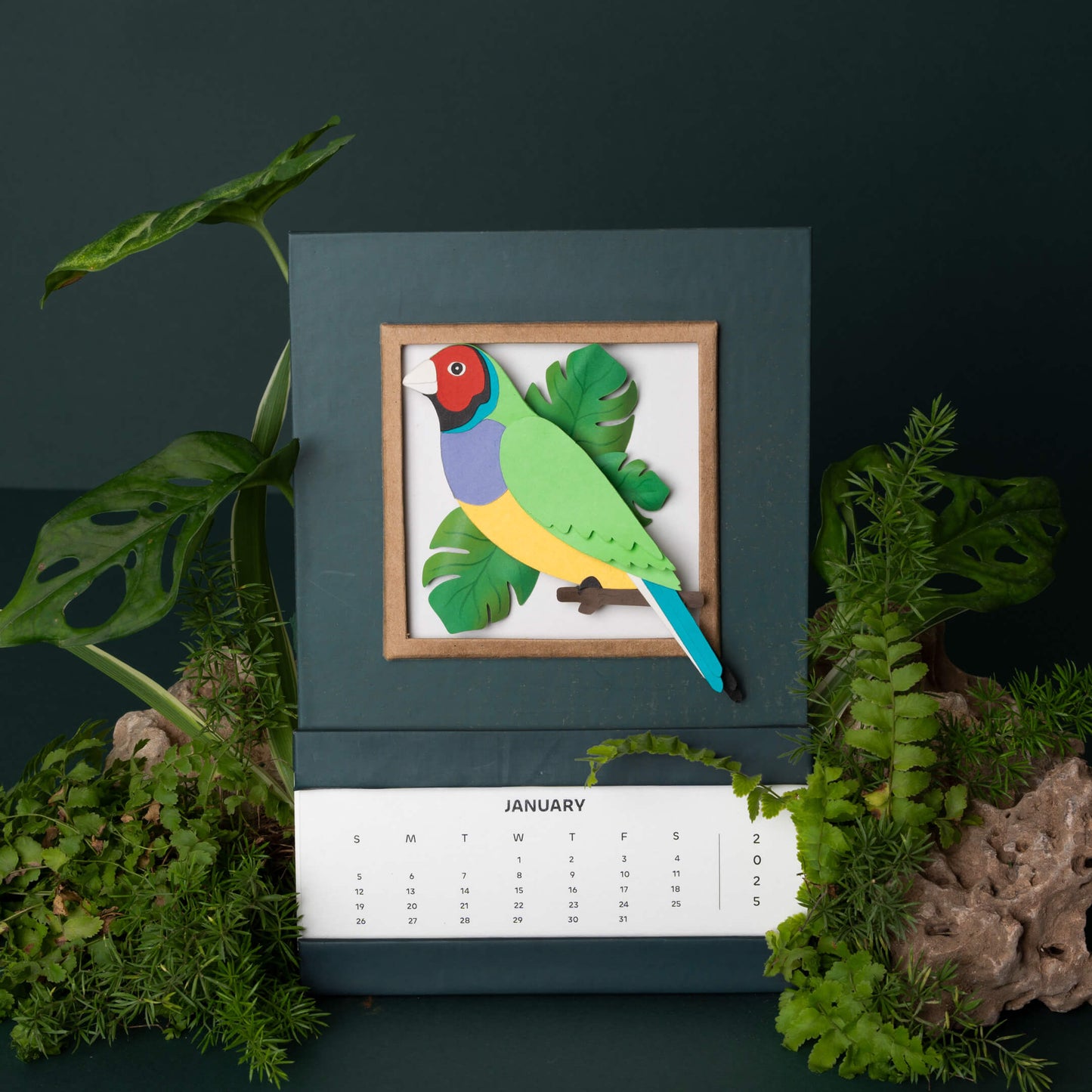 Gouldian Finch Bird Calendar 2025 | 'Wild Wonders'