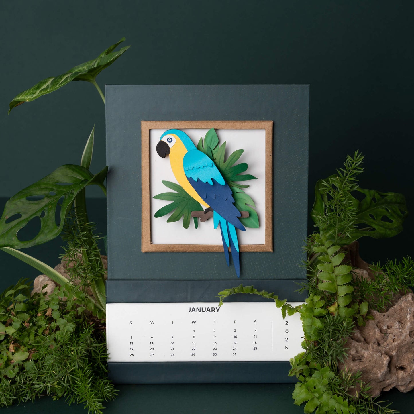 Blue & Gold Macaw  Calendar 2025 | 'Wild Wonders'