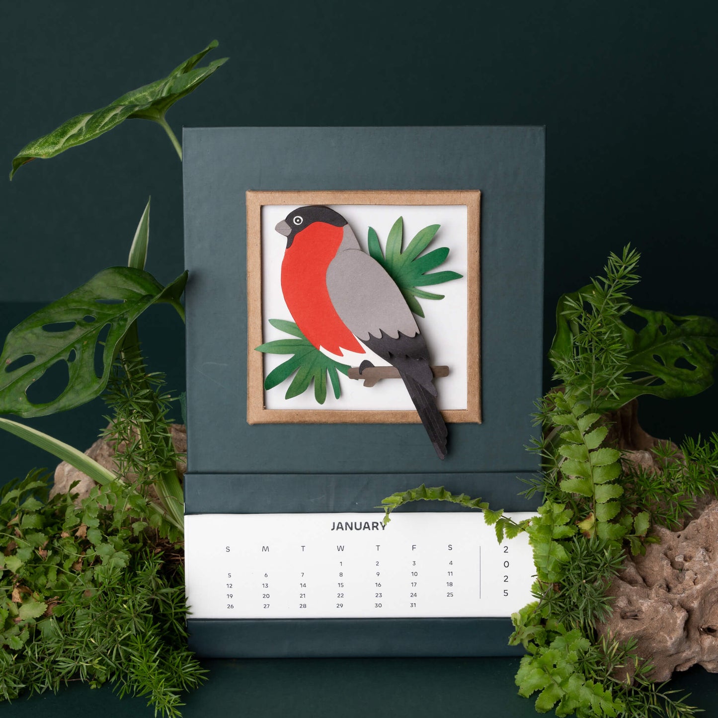 Bullfinch Bird Calendar 2025 | 'Wild Wonders'