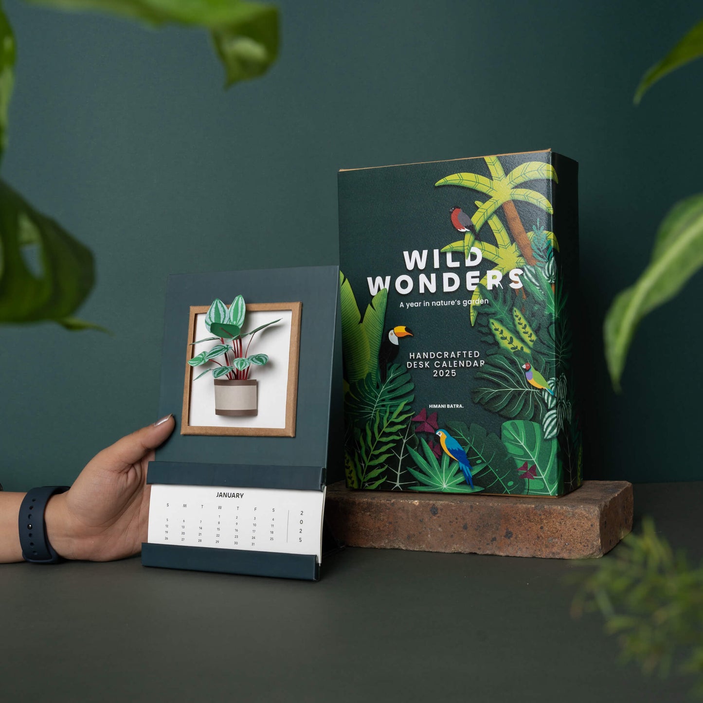 Watermelon Peperomia Plant Calendar 2025 | 'Wild Wonders'