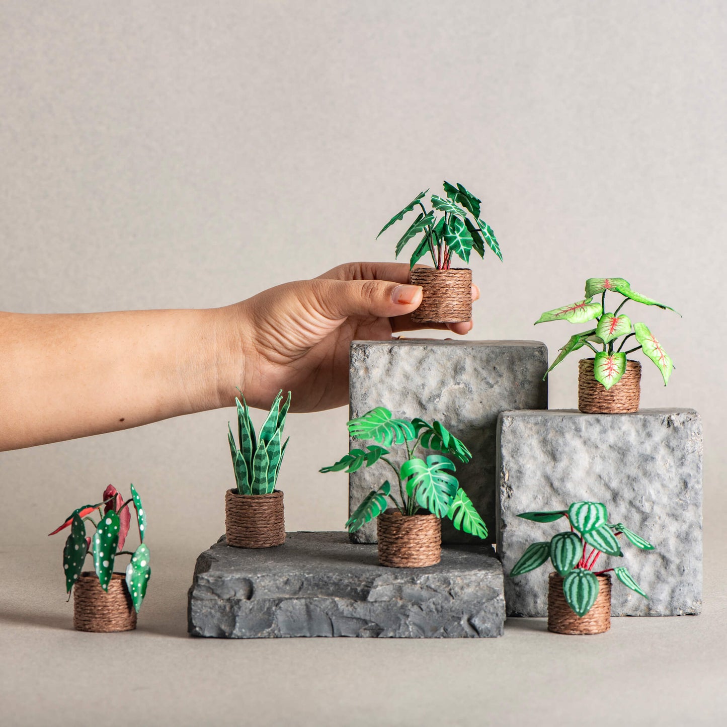 Set of 6 | Miniature Paper Plant
