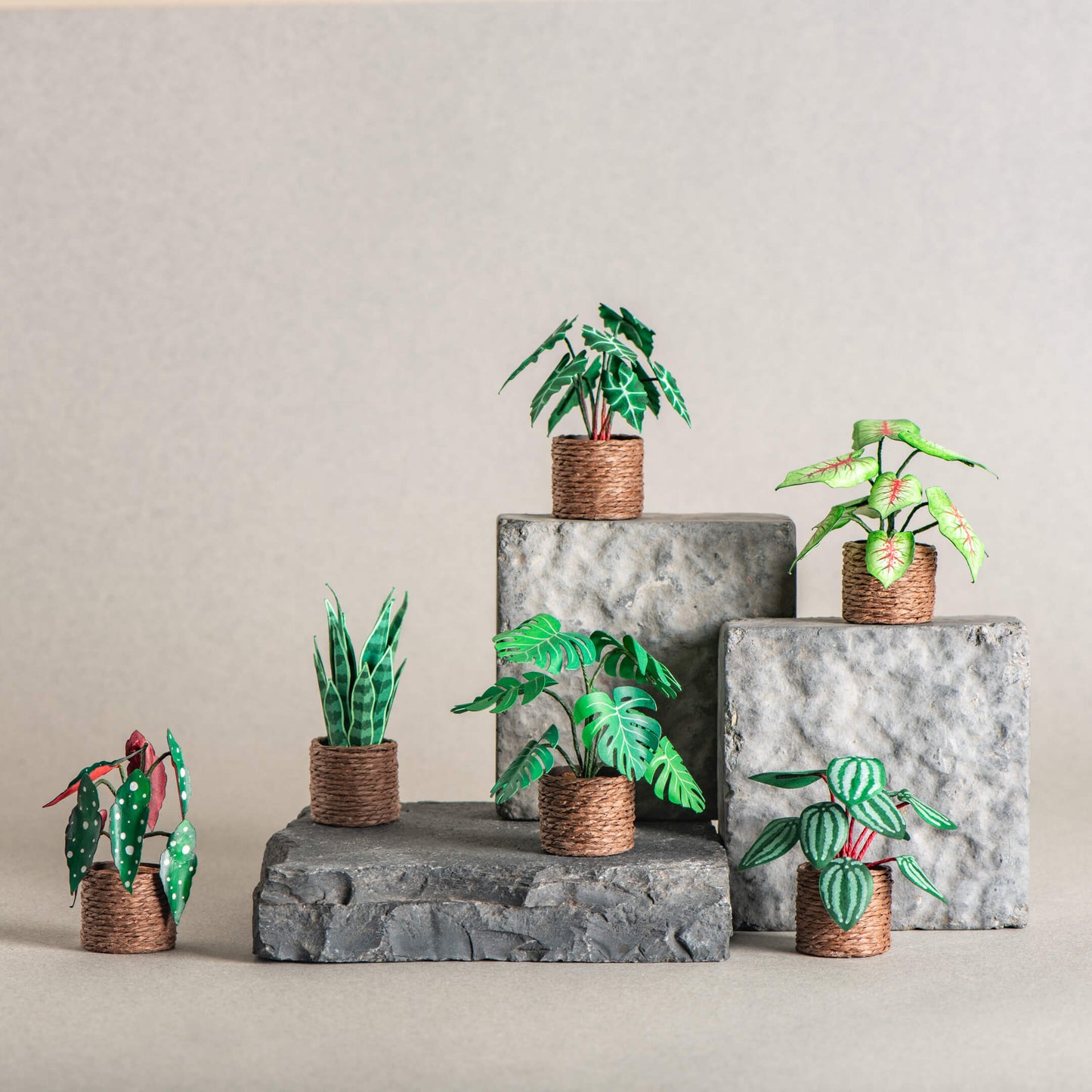 Set of 6 | Miniature Paper Plant