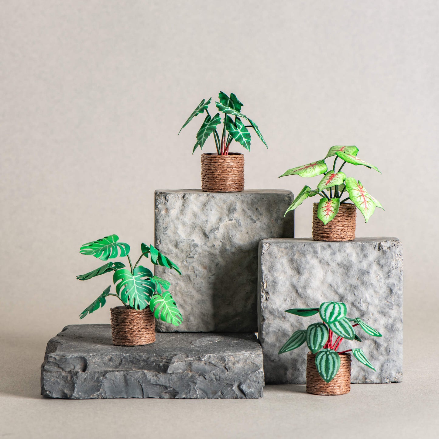 Whispering Garden |Set of 4 | Miniature Paper Plant