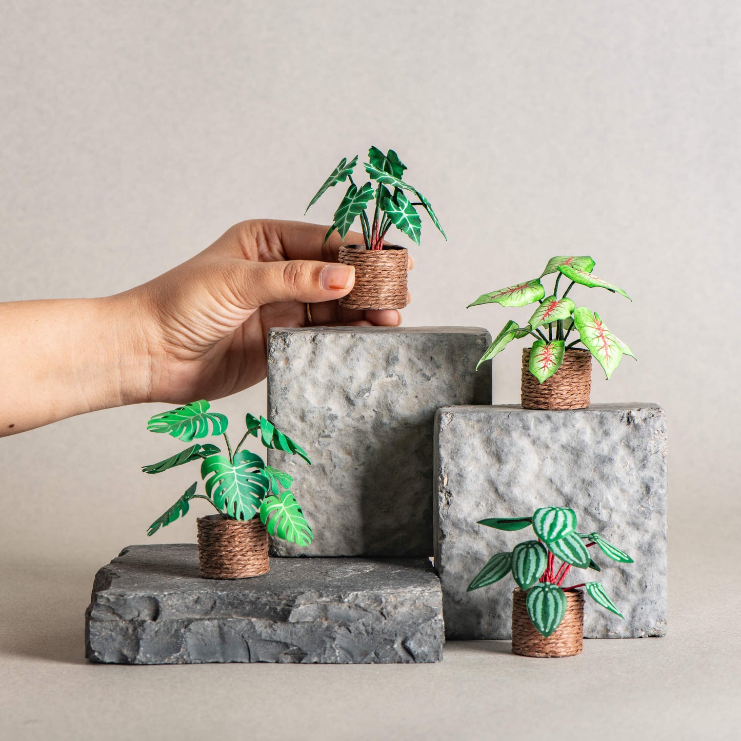 Whispering Garden |Set of 4 | Miniature Paper Plant