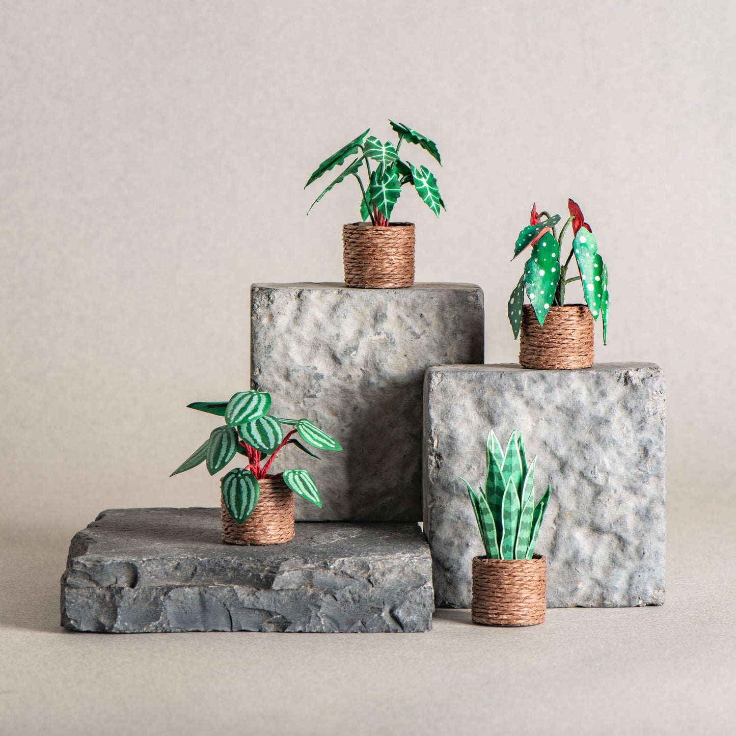 Enchanted Greens |Set of 4 | Miniature Paper Plant