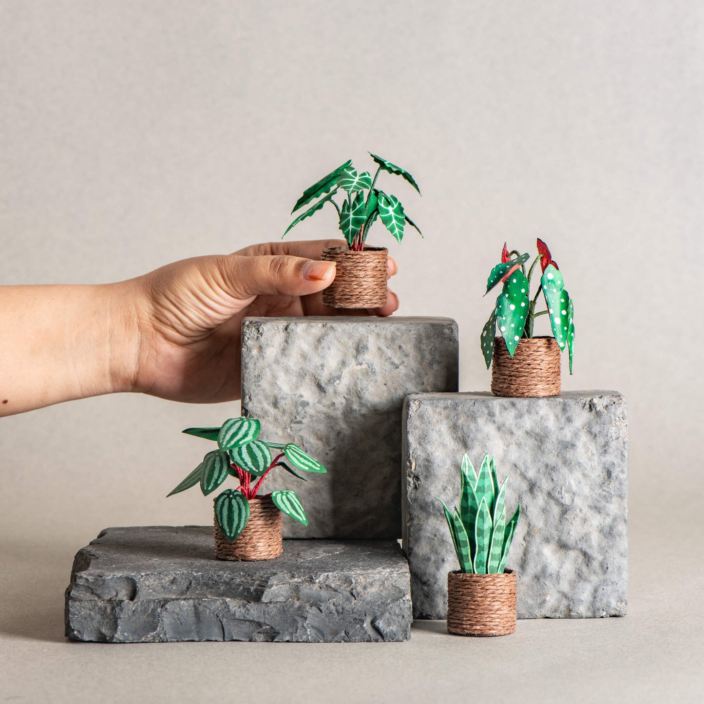 Enchanted Greens |Set of 4 | Miniature Paper Plant