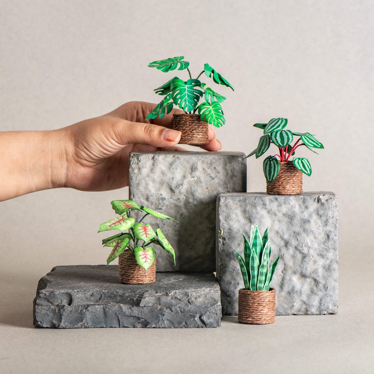 Nature's Haven |Set of 4 | Miniature Paper Plant