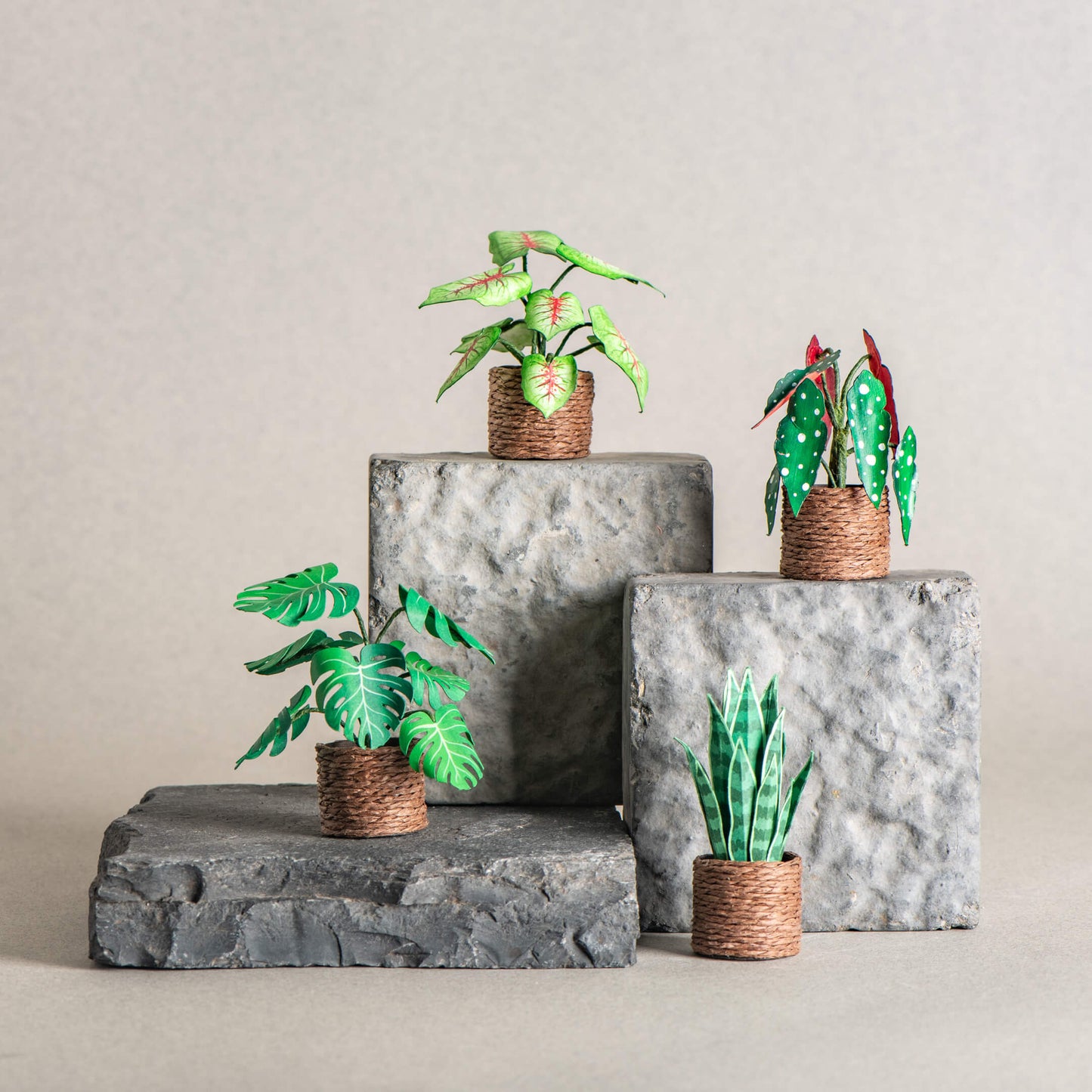 Plant Paradise|Set of 4 | Miniature Paper Plant