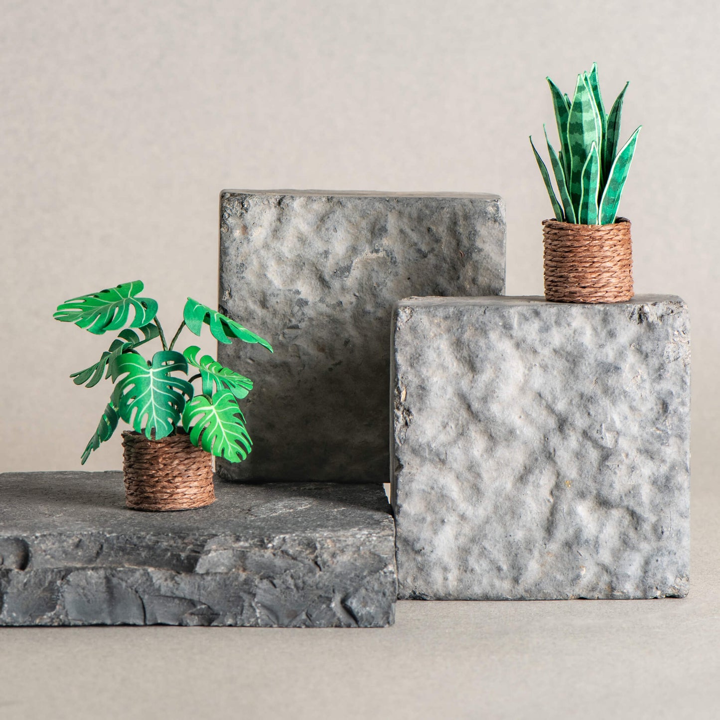 Snake Plant & Monstera | Set of 2 | Miniature Paper Plant