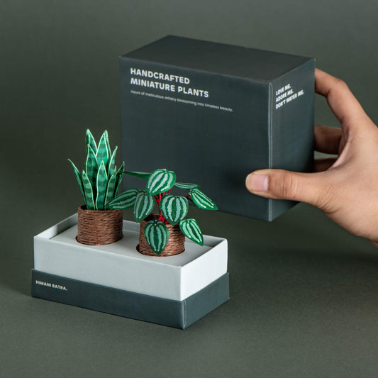 Snake Plant & Watermelon Peperomia | Set of 2 | Miniature Paper Plant