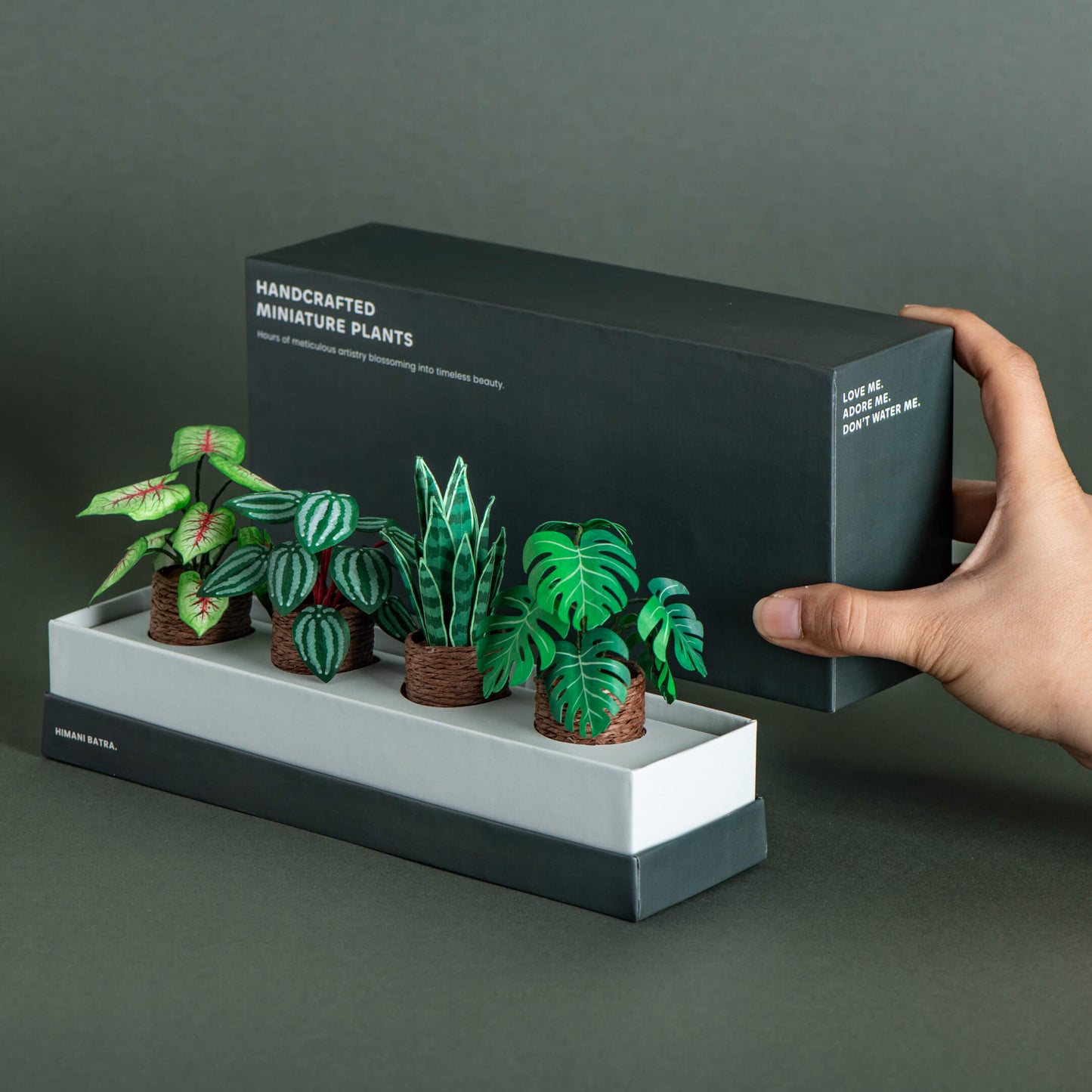 Nature's Haven |Set of 4 | Miniature Paper Plant