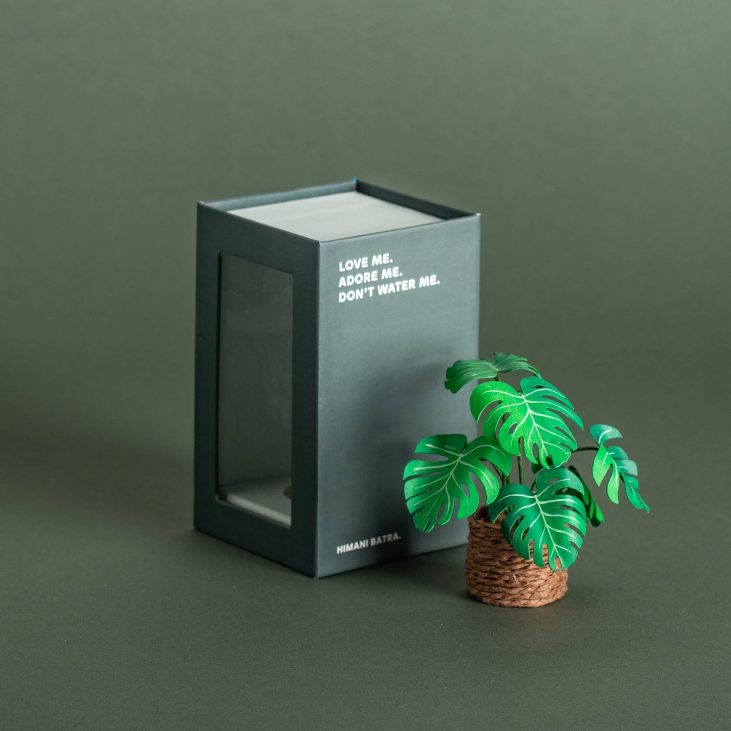 Monstera | Miniature Paper Plant