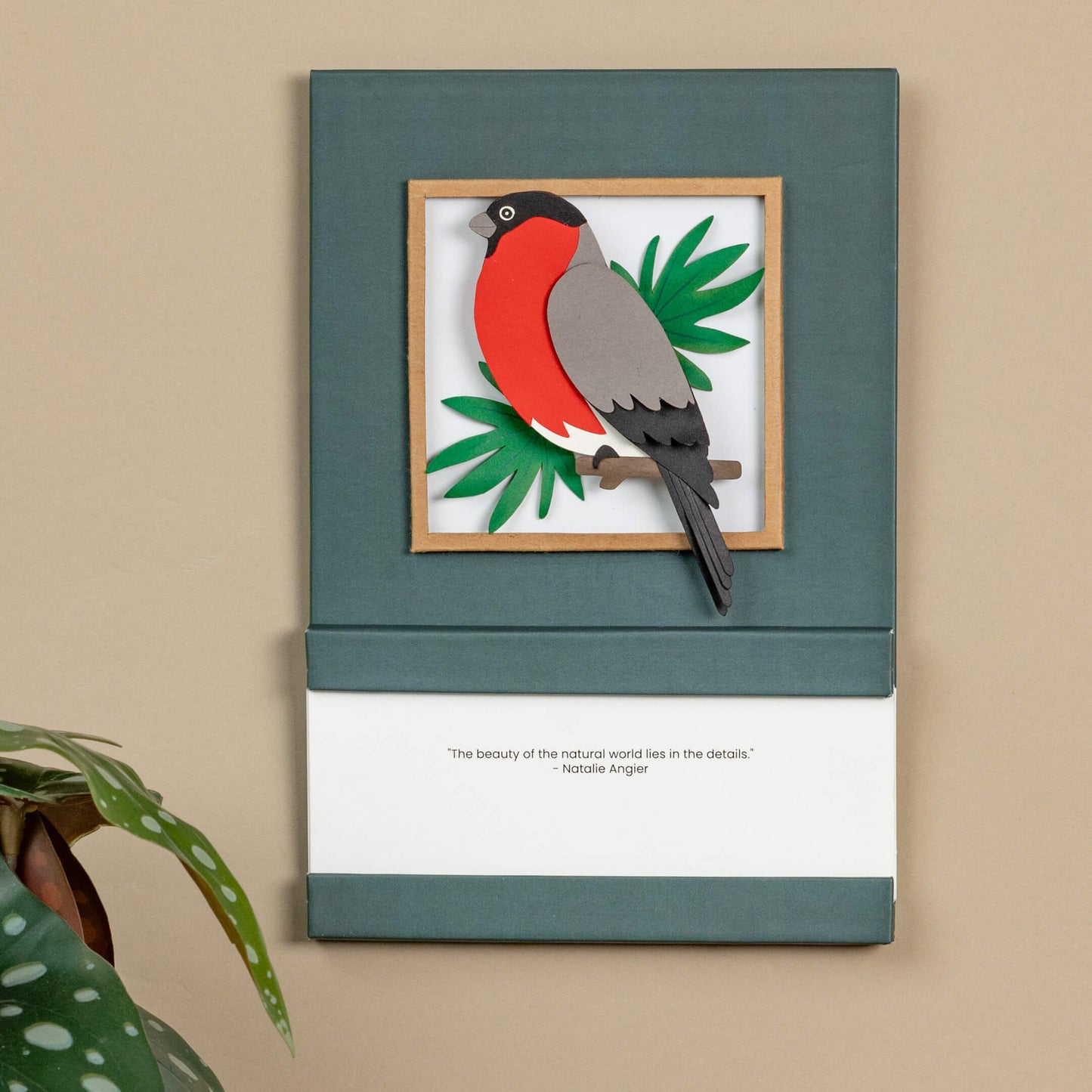 Bullfinch Bird Calendar 2024 | 'Wild Wonders'