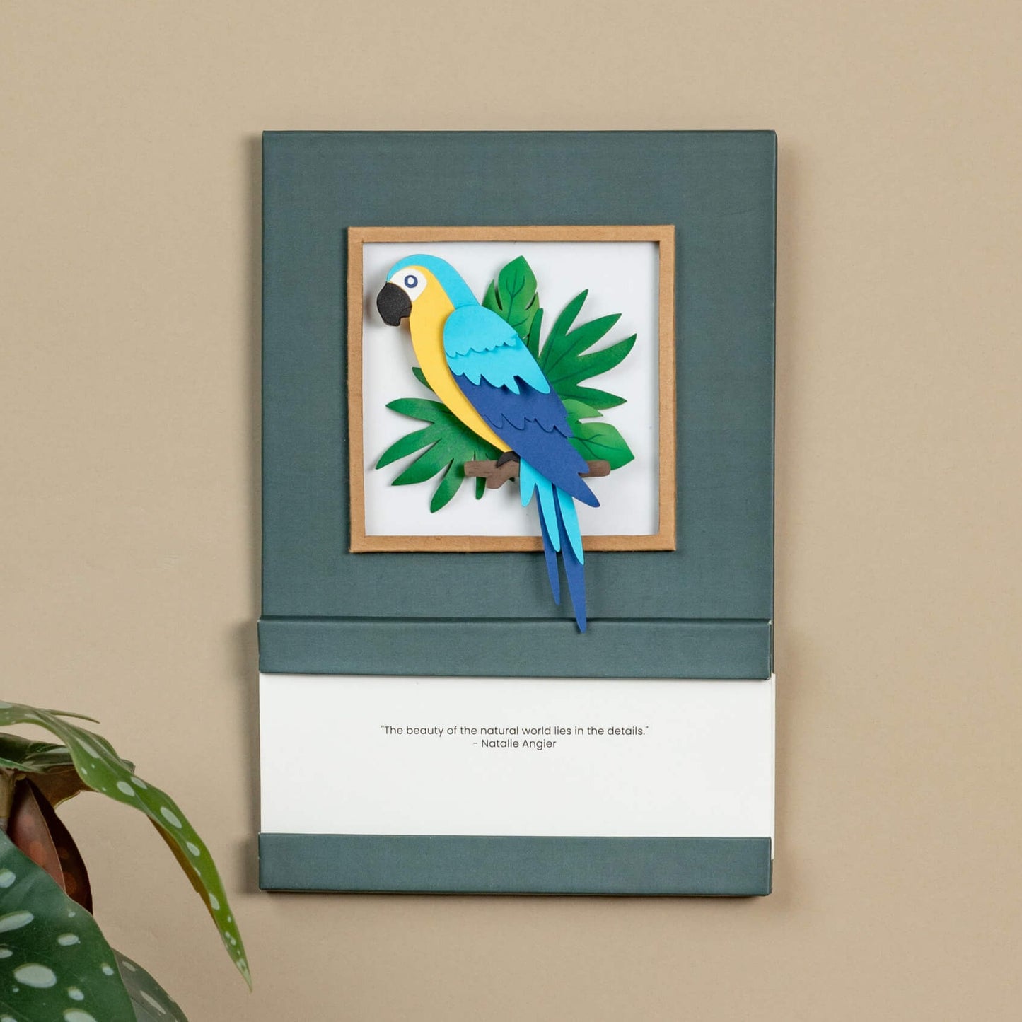 Blue & Gold Macaw  Calendar 2024 | 'Wild Wonders'