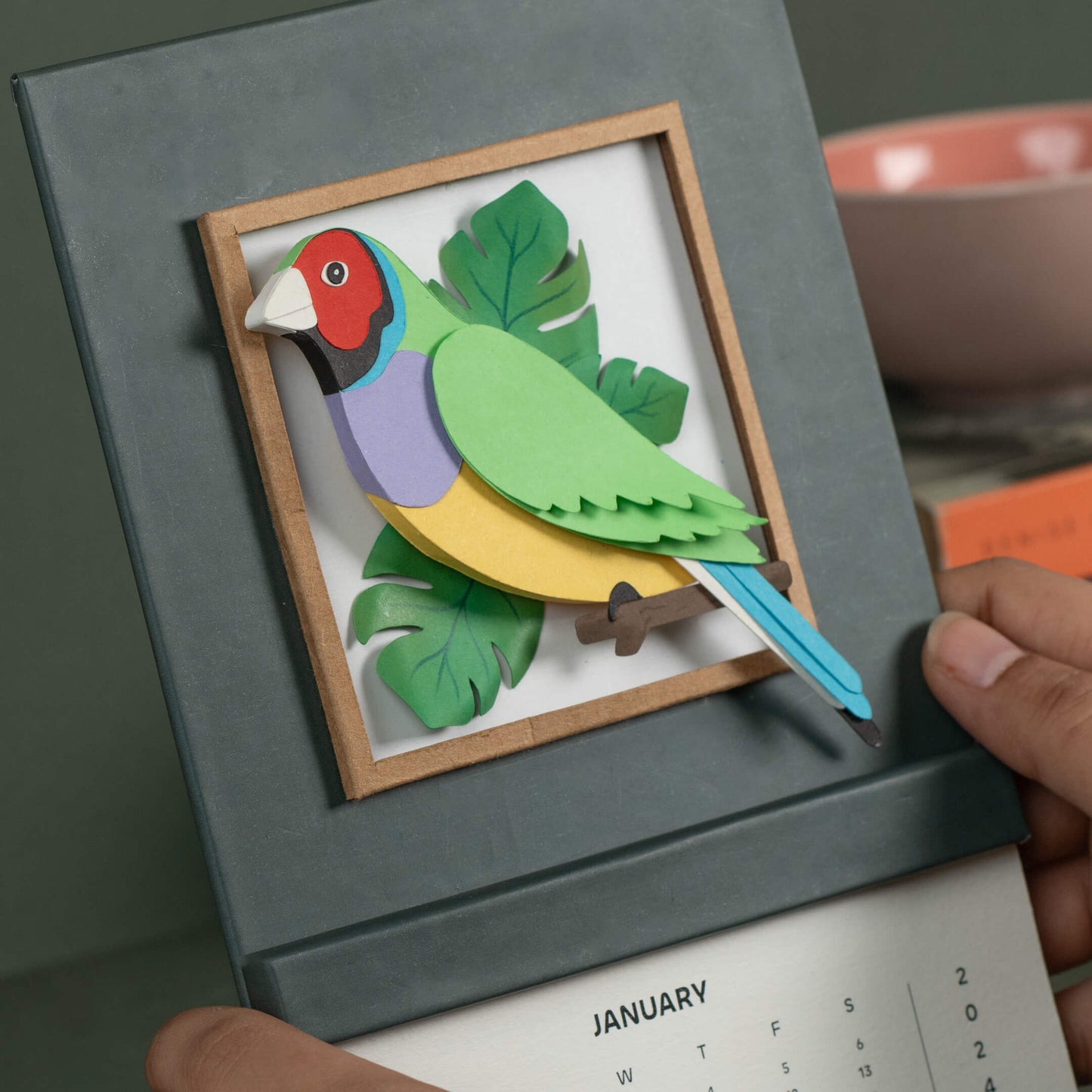 Gouldian Finch Bird Calendar 2024 | 'Wild Wonders'