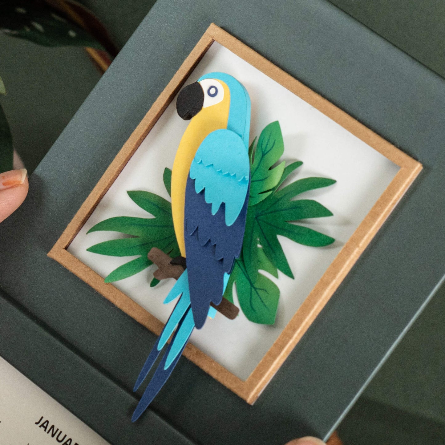 Blue & Gold Macaw  Calendar 2024 | 'Wild Wonders'