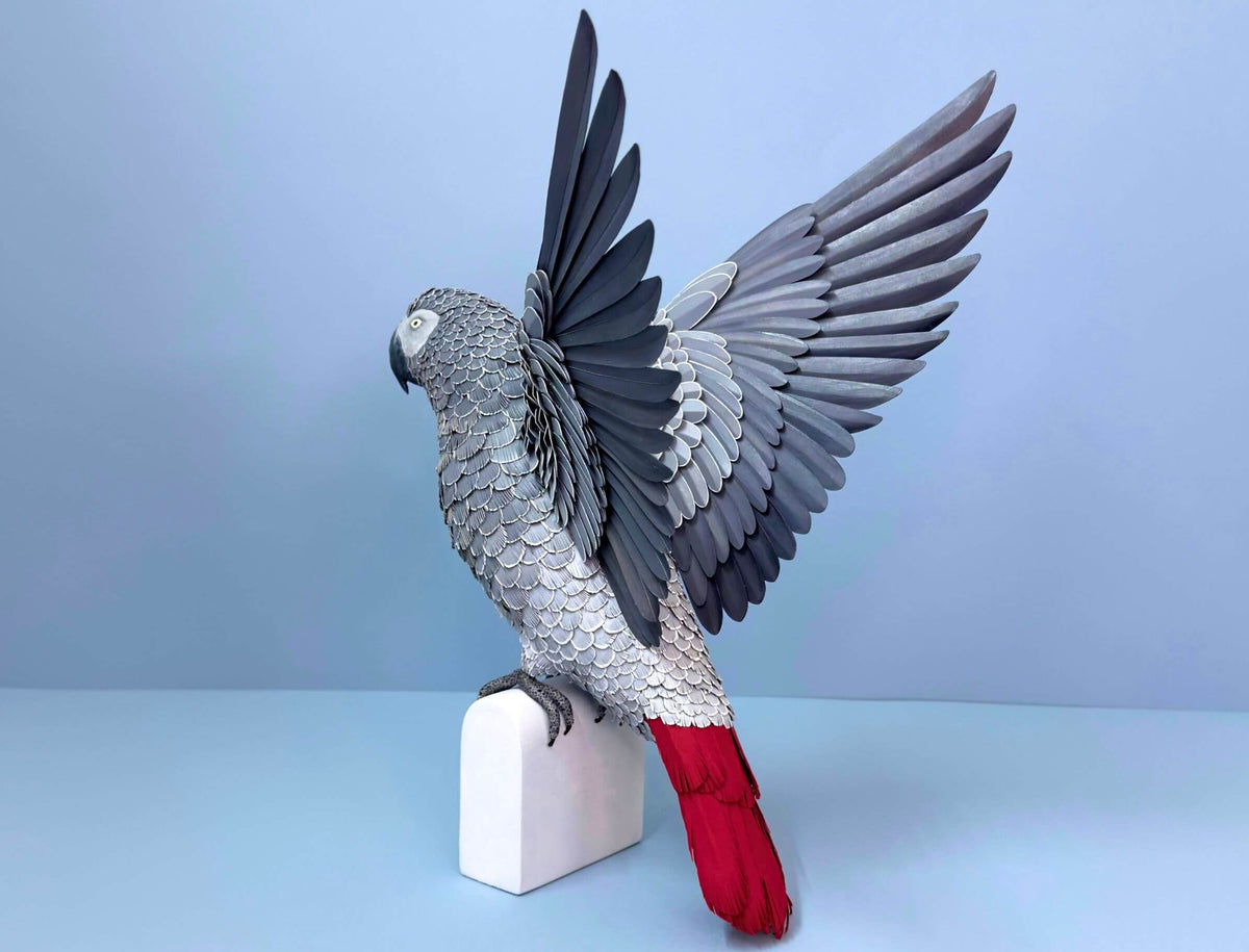 Grey Parrot Sculpture