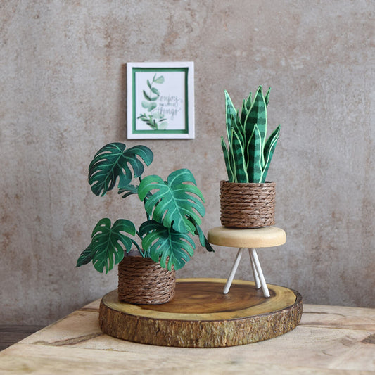 Monstera & Snake Plant | Set of 2 | Miniature Paper Plant