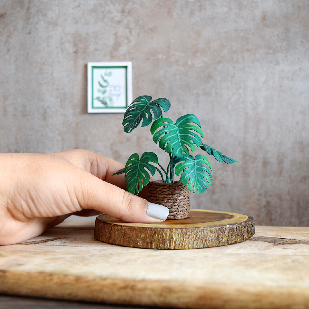 Monstera & Snake Plant | Set of 2 | Miniature Paper Plant