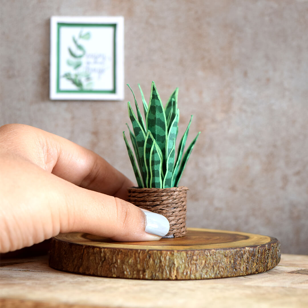 Monstera & Snake Plant | Set of 2 | Miniature Paper Plant